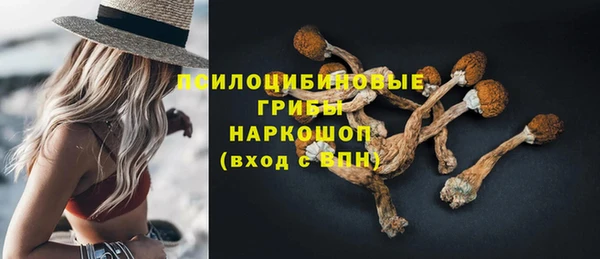 гашик Алексеевка