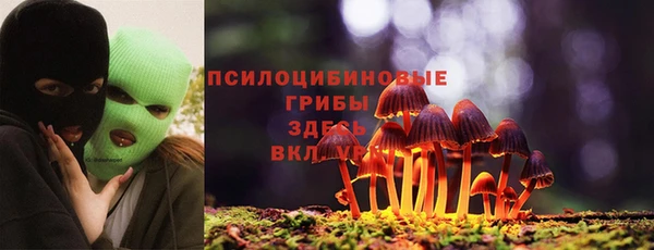 таблы Алзамай