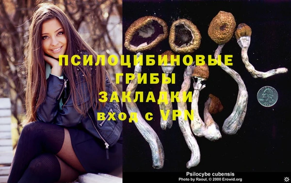 гашик Алексеевка