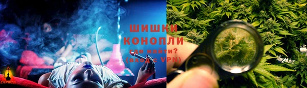 гашик Алексеевка
