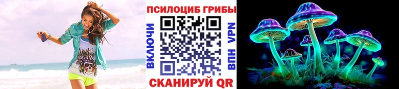 Галлюциногенные грибы Psilocybe  Орёл 
